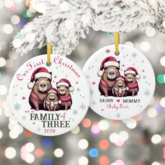 Familie van 3 Capybara Snowflake Eerste Kerstdag Keramisch Ornament