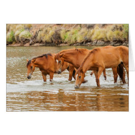 familie van bruin paard aan de rivier