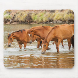 familie van bruin paard aan de rivier muismat