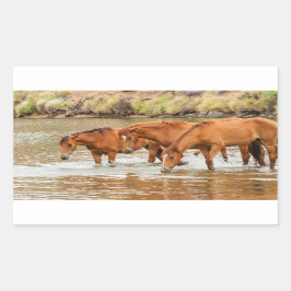 familie van bruin paard aan de rivier rechthoekige sticker