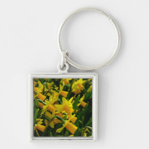 Familie van Daffodils Sleutelhanger