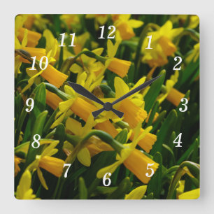 Familie van Daffodils Vierkante Klok