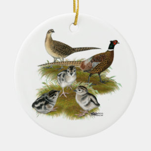 Familie van de halsbandfazant keramisch ornament