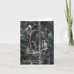 Familie van Herons... Kaart