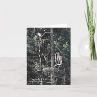 Familie van Herons... Kaart