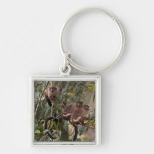 Familie van Marmoset Monkeys Sleutelhanger