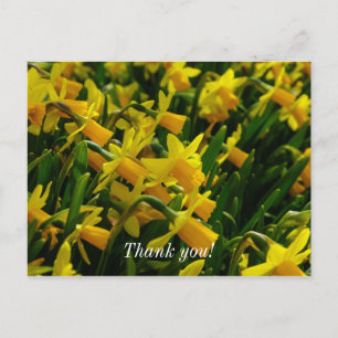 Familie van narcissen Bedankkaart Briefkaart