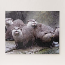 Familie van Otters