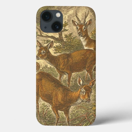 Familie van Roe - Deers in een bos Case-Mate iPhone Case (Achterkant)
