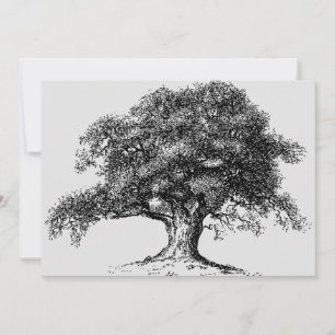 Familieboom, ankerboog, grijs aankondiging