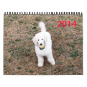 Familiecalender Kalender (Hoes)