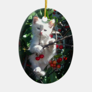 Familiehuisdier Kat 1-zijdige foto Keramisch Ornament