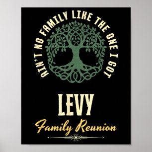 Familiereünie 2025 bijpassend ontwerp - Levy Poster