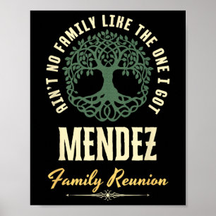Familiereünie 2025 bijpassend ontwerp - Mendez Poster