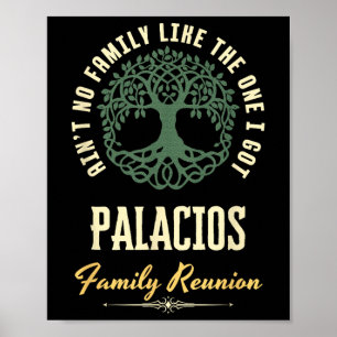 Familiereünie 2025 bijpassend ontwerp - Palacios Poster