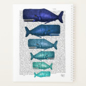 Famille Blue Whale (Dos)