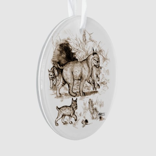 Famille Bobcat (devant)