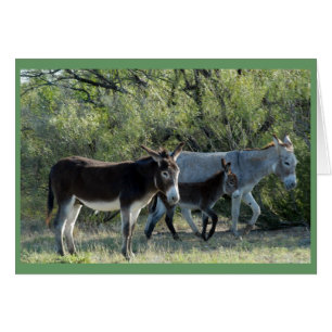 "Famille Burro"