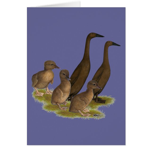 Famille de canards coureurs au chocolat (Devant)