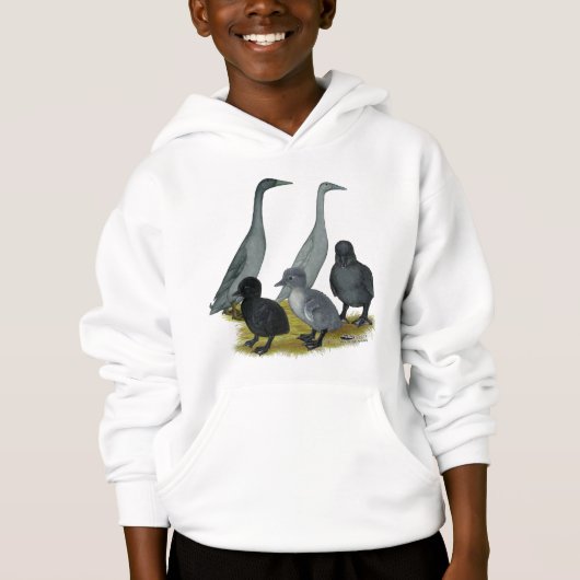 Famille de canards coureurs bleus (Devant)