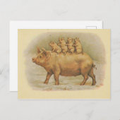 Famille de cochon briefkaart (Voorkant / Achterkant)