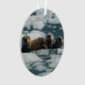 Famille de loutre de mer (devant)