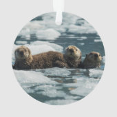 Famille de loutre de mer (dos)