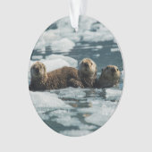 Famille de loutre de mer (devant)