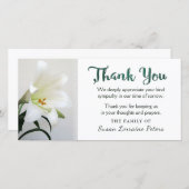 Famille de Merci de la Lily blanche (Devant / Derrière)