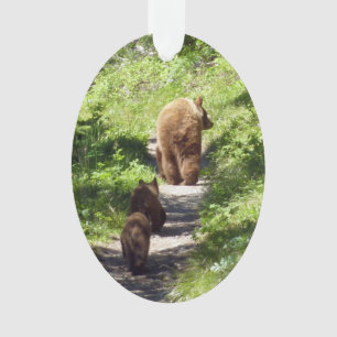 Famille d'ours Brown