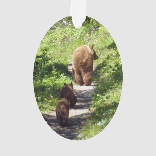 Famille d'ours Brown (dos)