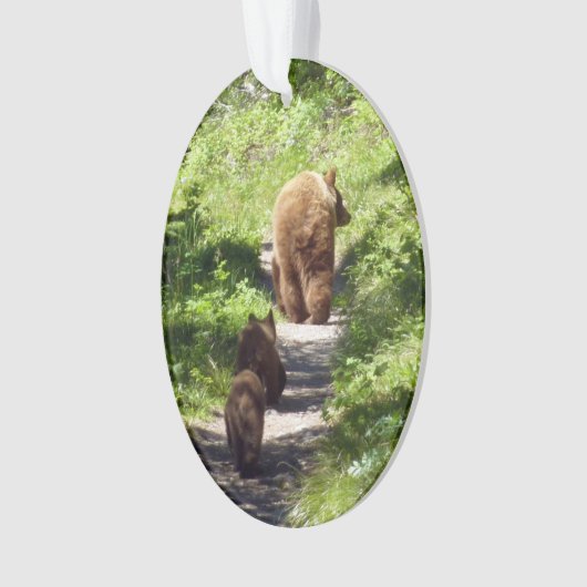 Famille d'ours Brown (devant)