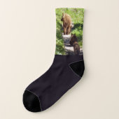 Famille d'ours Brown (Gauche - extérieur)