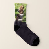 Famille d'ours Brown (Gauche intérieur)