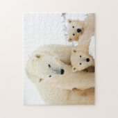 Famille d'ours polaires, puzzle (Vertical)