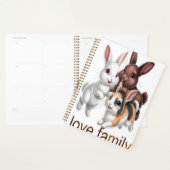 Famille lapin (Devant avec enveloppe)