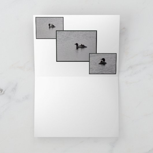 Famille Loon (Intérieur)