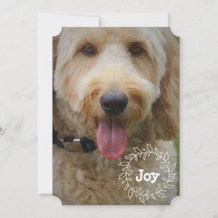 Famille ou Carte photo de vacances pour animaux
