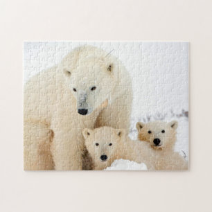Famille Ours Polaire, Puzzle