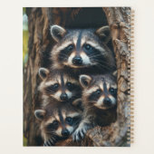 Famille Raccoon (Dos)