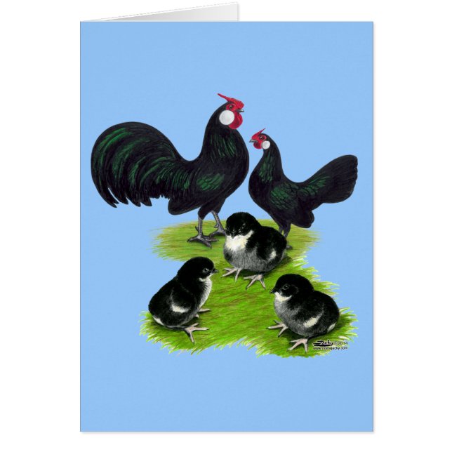 Famille Rosecomb Black Bantam (Devant)