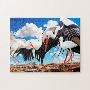 Famille Stork, Puzzle Jigsaw