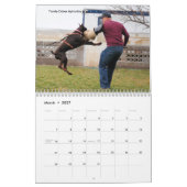 Family Dobes Protection Calendar 2013 Kalender (Mar 2027)