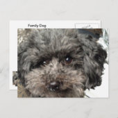 Family Dog Briefkaart (Voorkant / Achterkant)