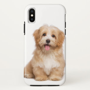 Family Dog Your Pet Photo iPhone X Hoesje