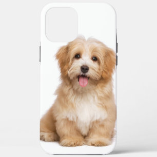 Family Dog Your Pet Photo iPhone 12 Pro Max Hoesje