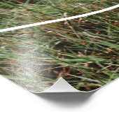 Family Love Script Photo personnalisée (Coin)