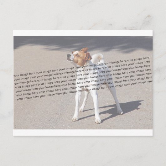 Family Pet Foto Briefkaart (Voorkant)