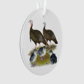 Family sauvage de Turkey (devant)