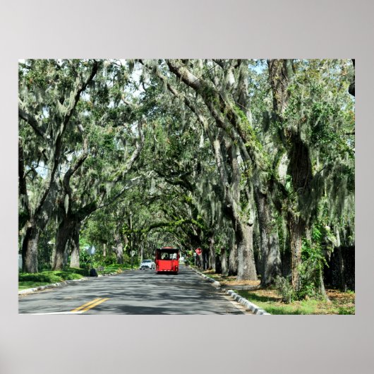 Famous Magnolia Ave St. Augustine, Florida Poster (Voorkant)
